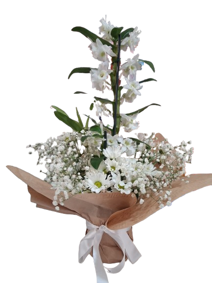 Bambu Orkide ve papatya demeti