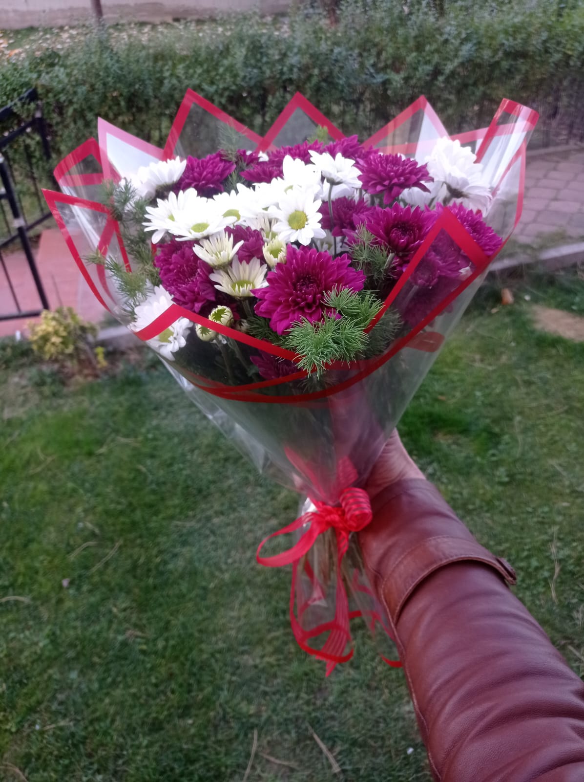 Kasımpatı ve papatya 