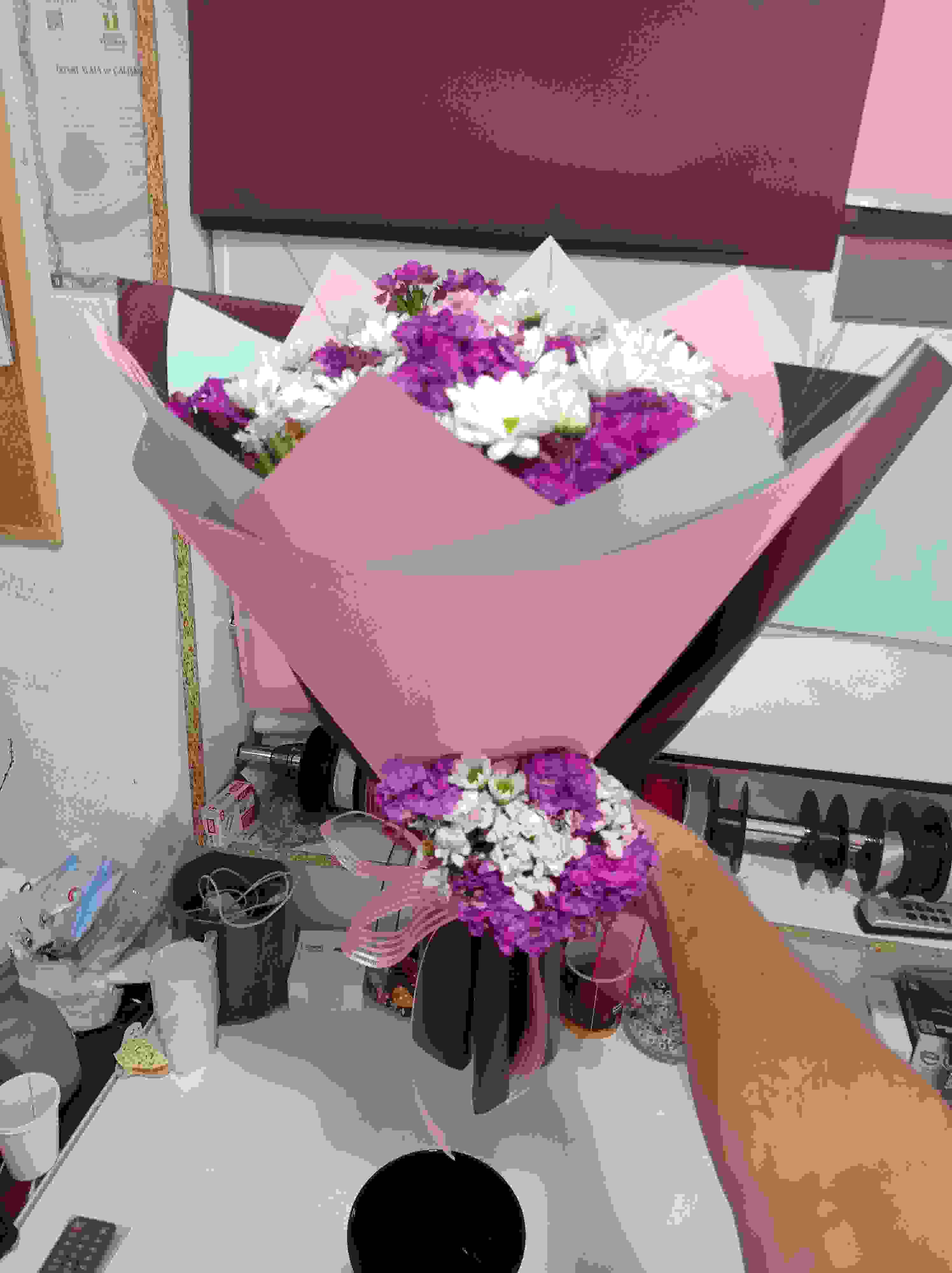 Papatya ve Hüsnü Yusuf 