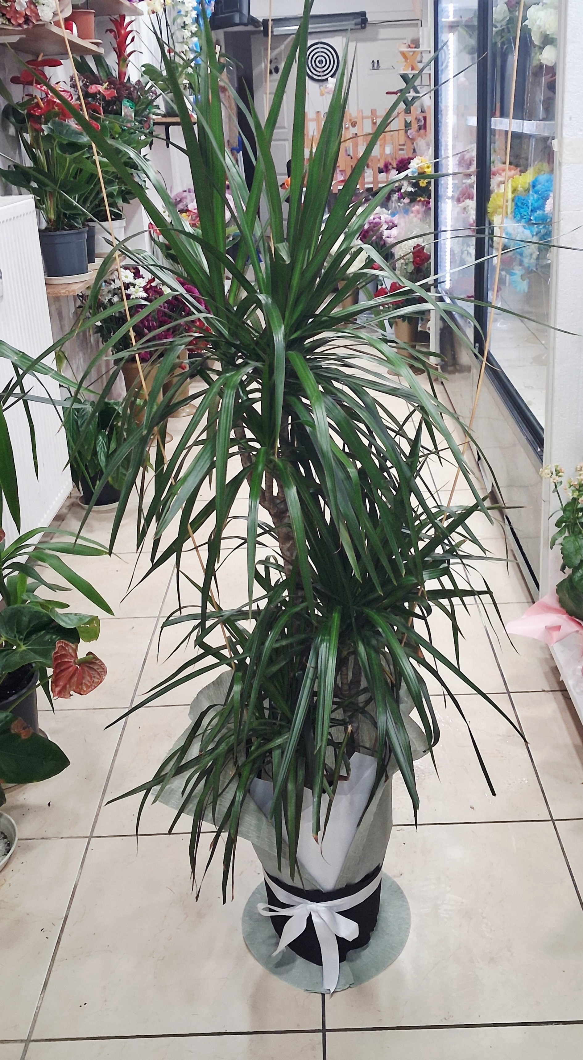 Çift Dal Margarinata