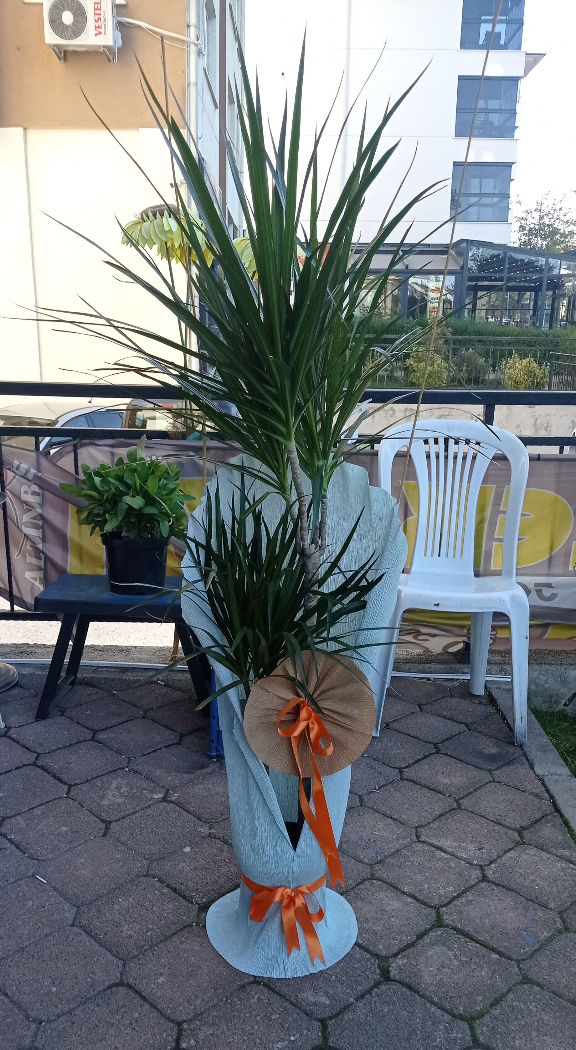 Üç Dal Margarinata-