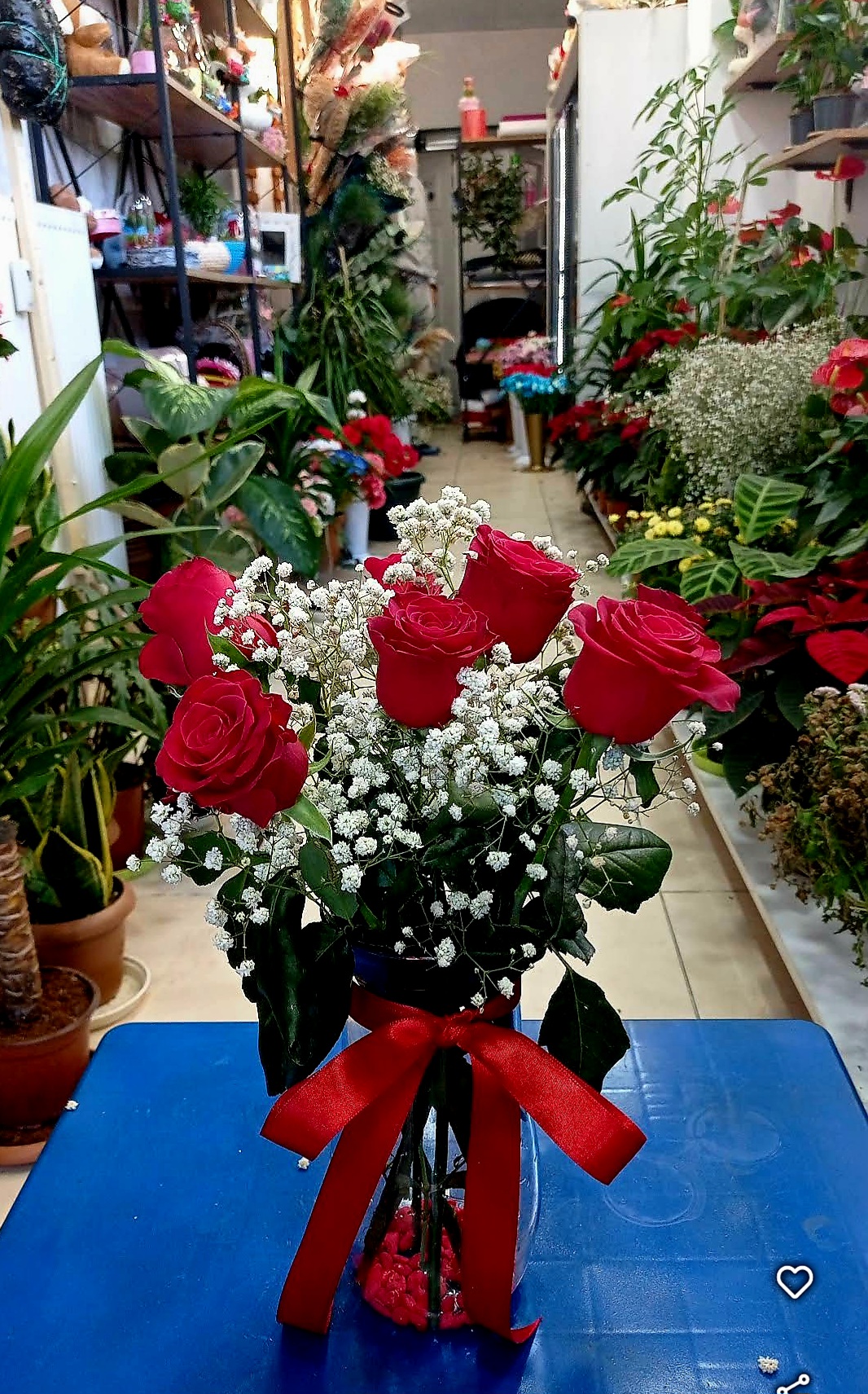 Damla vazoda 5 kırmızı gül