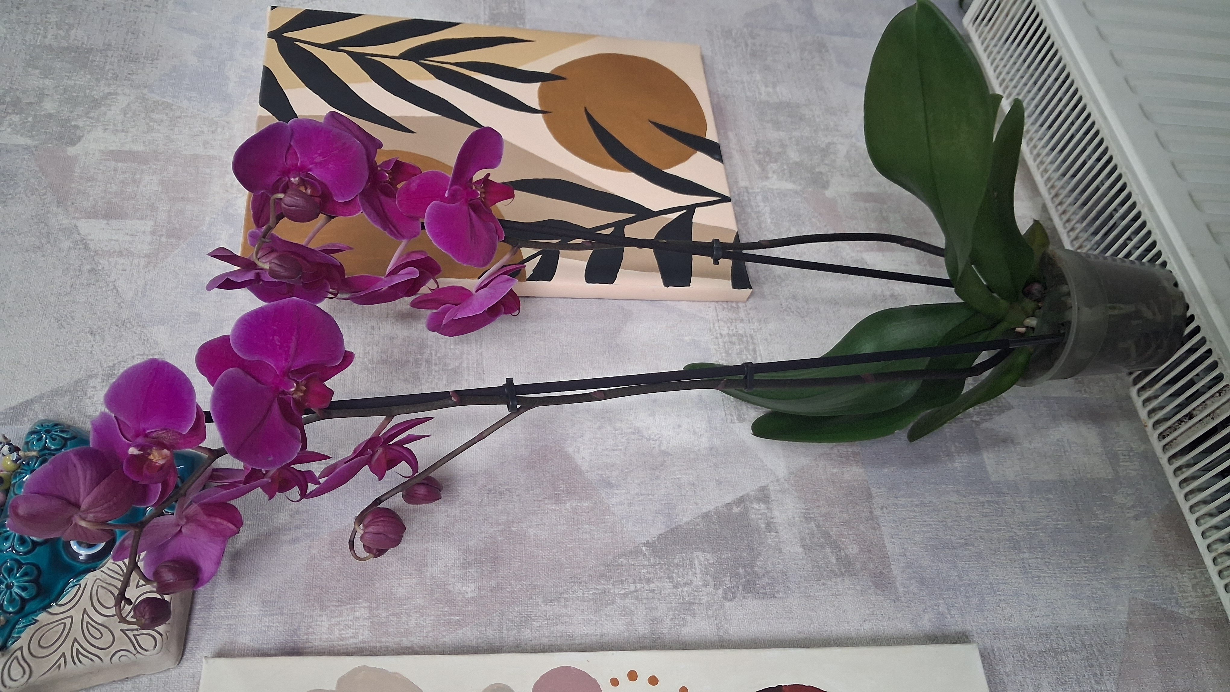 Çift Dal Mor Ordike