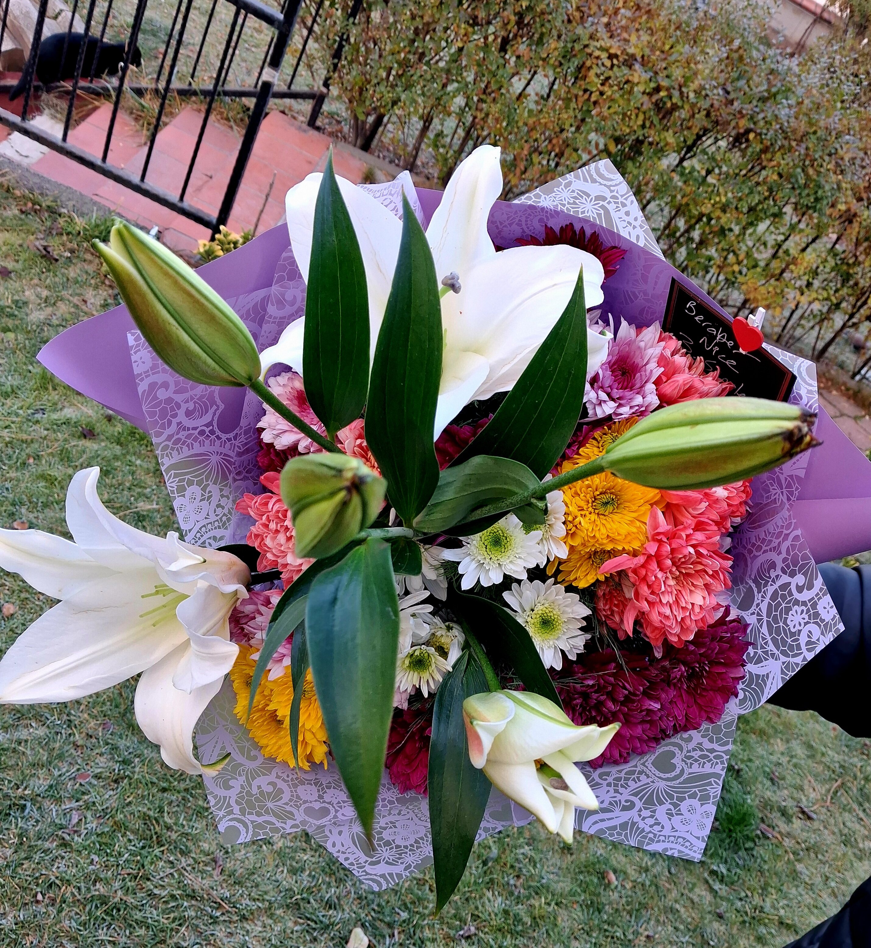 Lilyum ve Renkler - Görsel 2