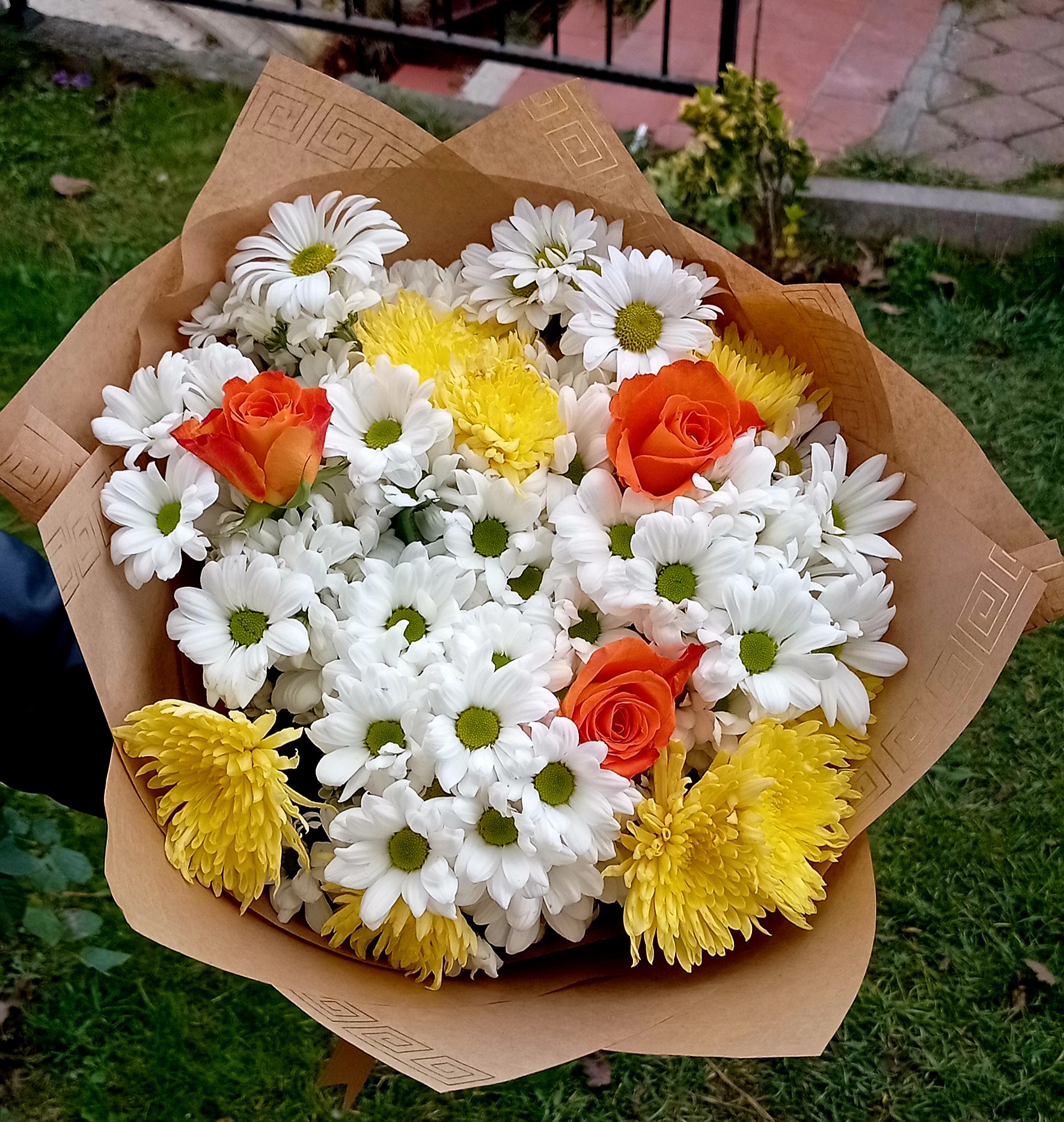 Papatya ışıltısı - Görsel 2