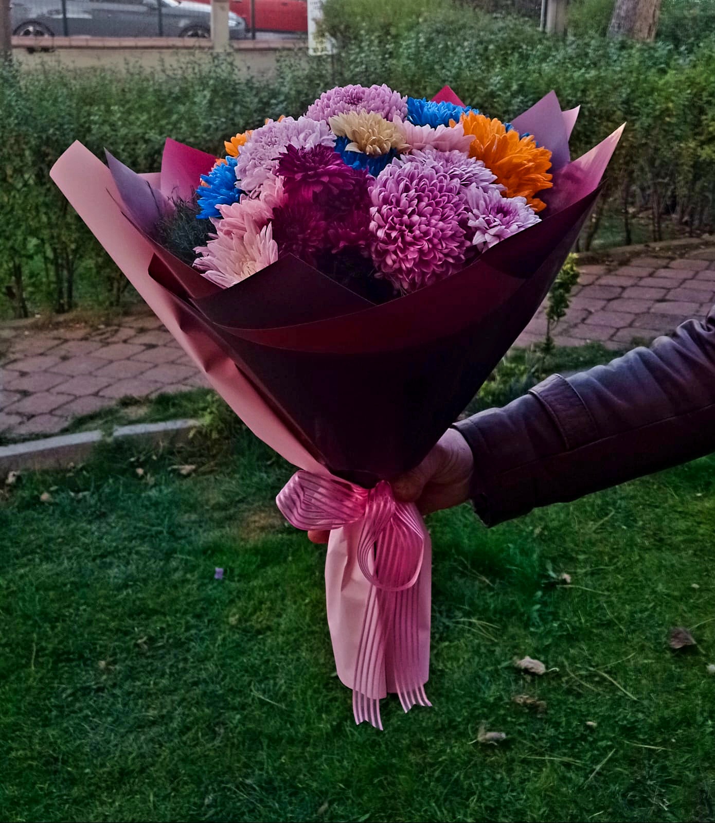 Rengarenk kasımpatı  - Görsel 2