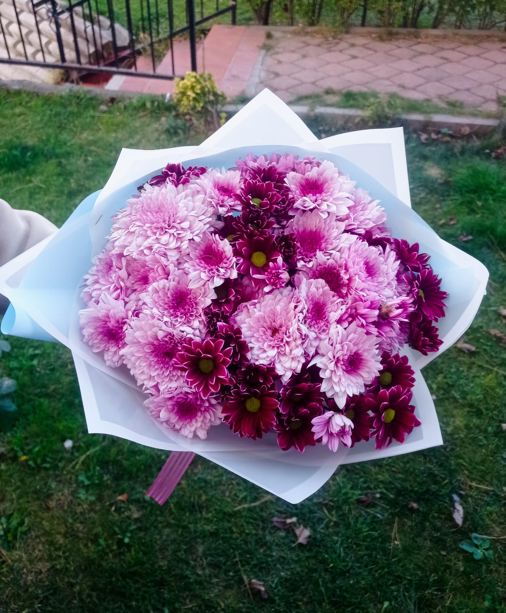 Renkli papatya ve kasımpatı - Görsel 2