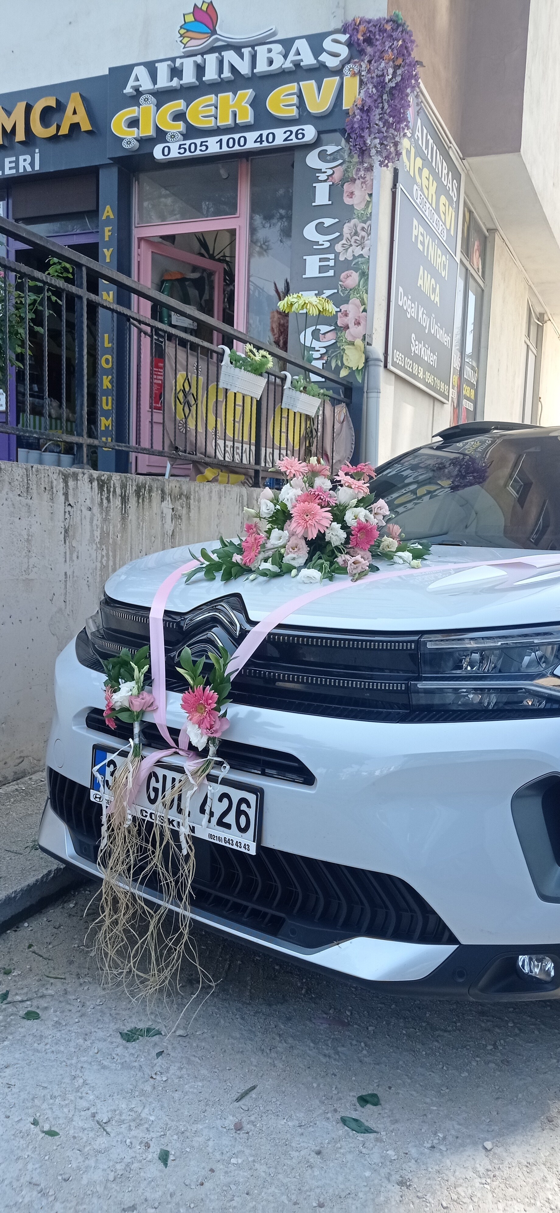 Gelin Arabası Tasarımı - Görsel 5