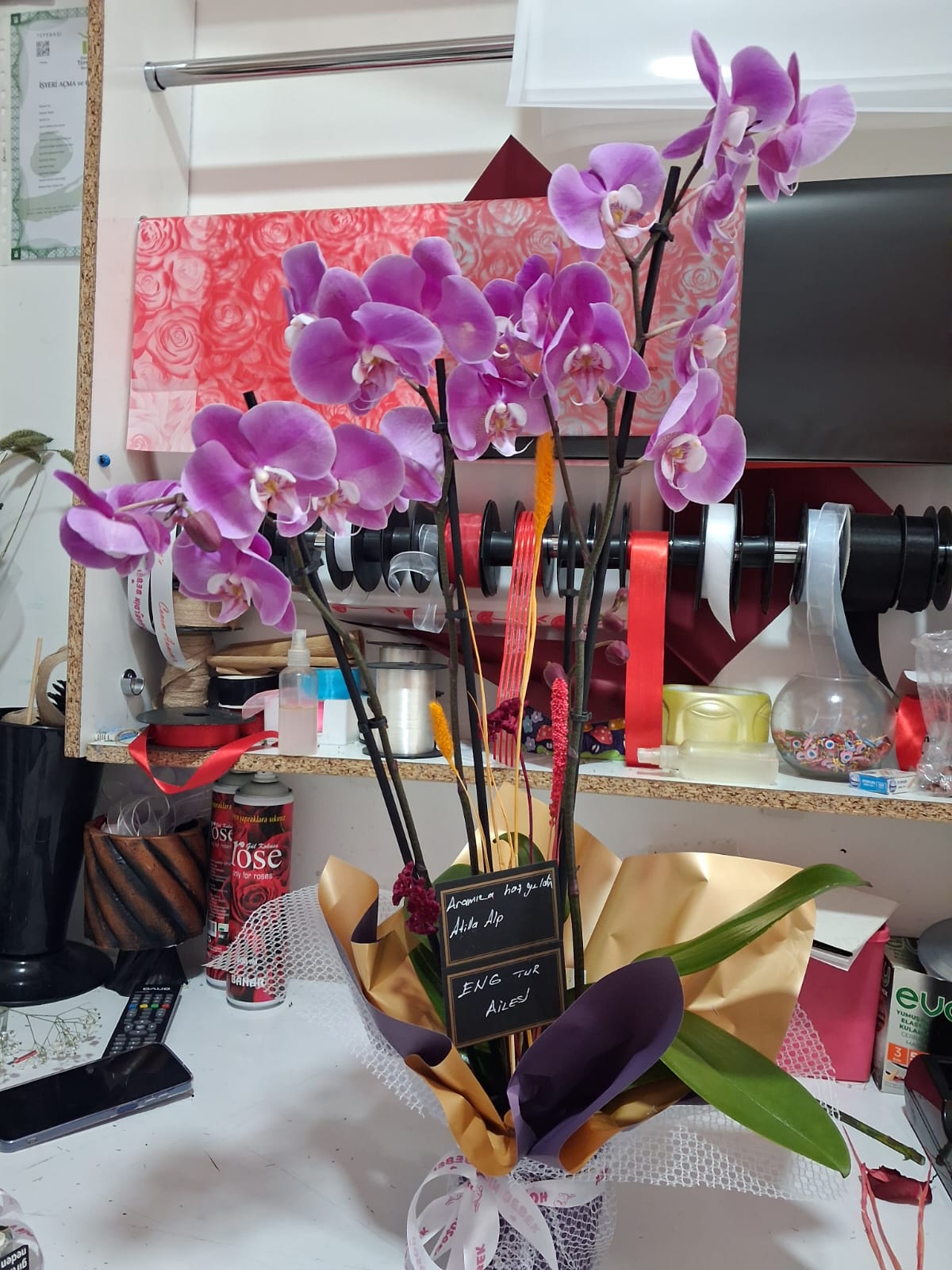 Üç Dal Pembe Orkidem - Görsel 2