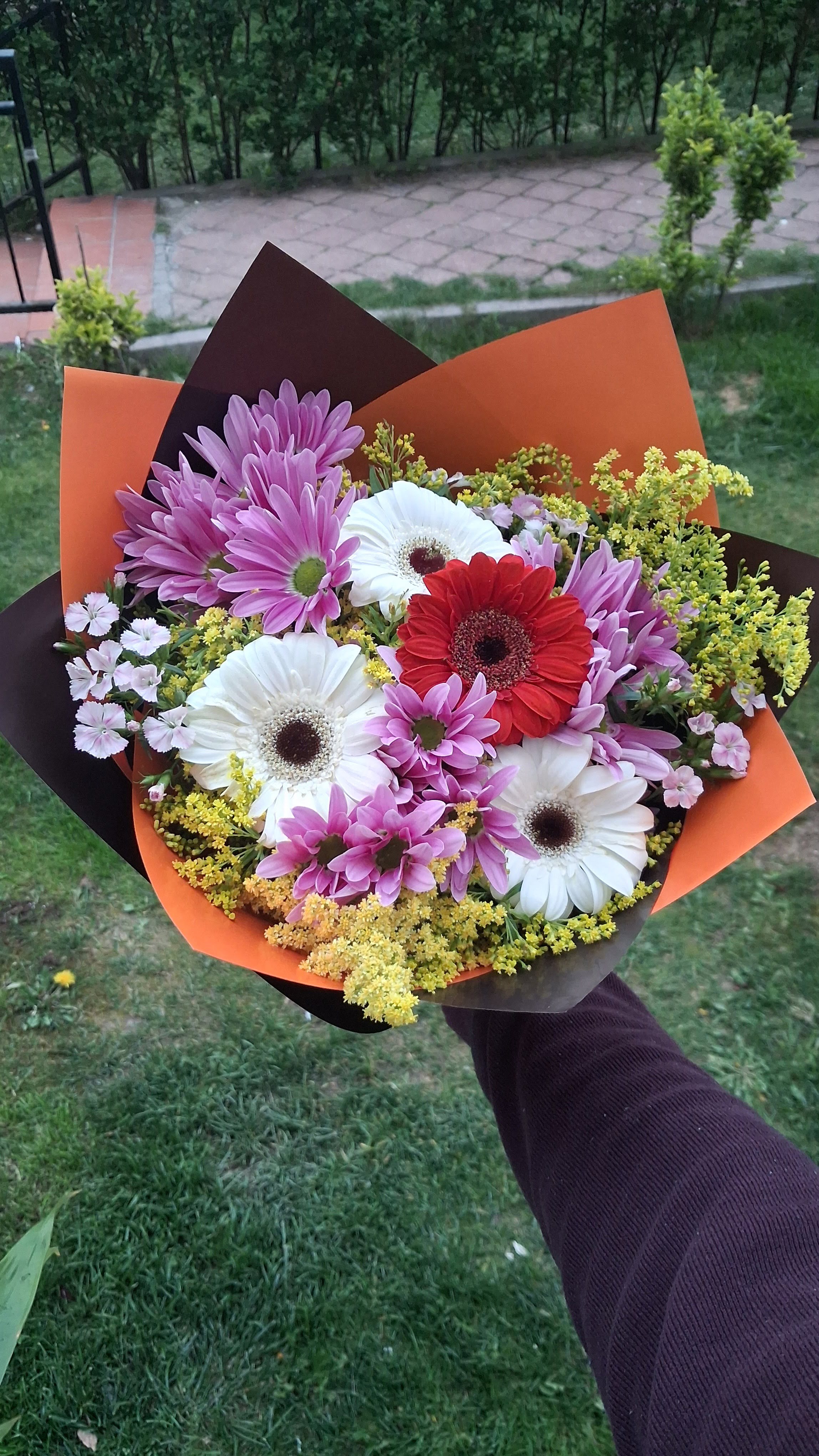 Renkli Papatya ve mini gerbera - Görsel 2