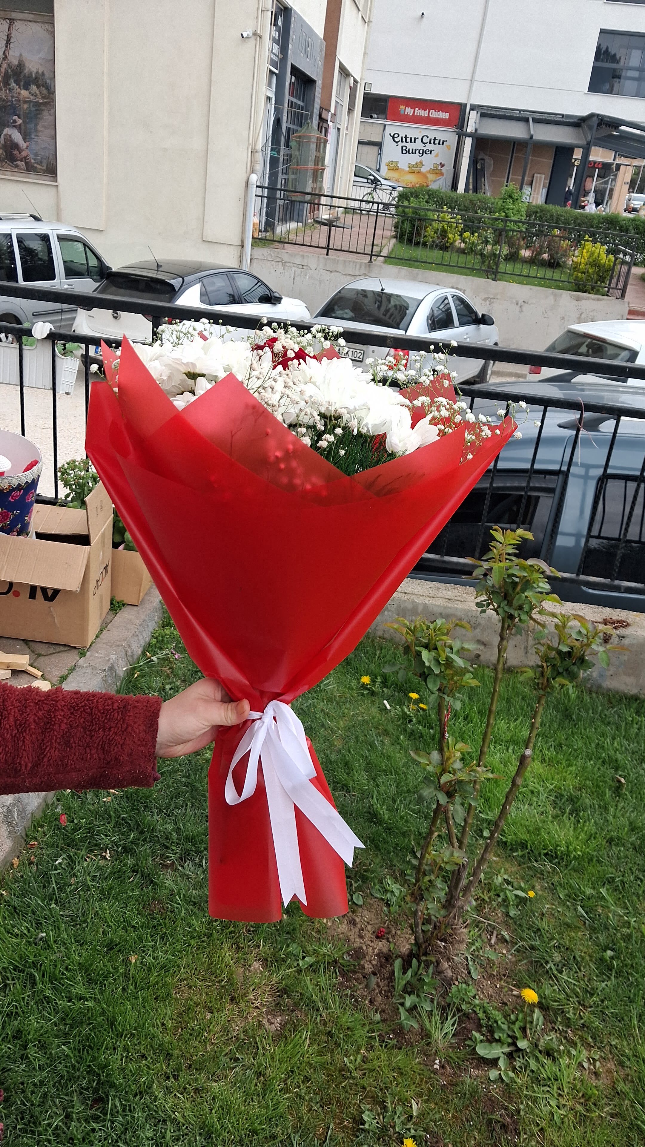 Gül ve papatya  - Görsel 2